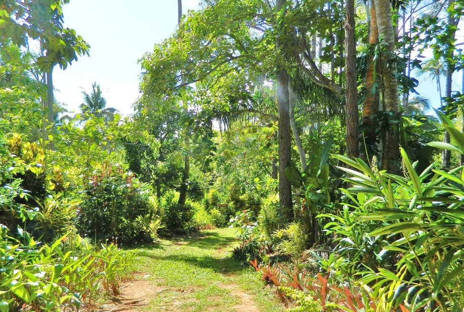 Ene’io Botanical Garden, Neiafu, Vavaʻu, Tonga